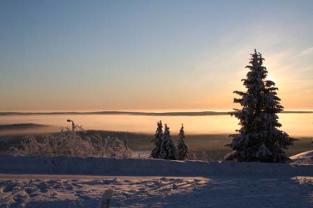 Lapland landschap