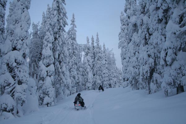 Lapland 2010