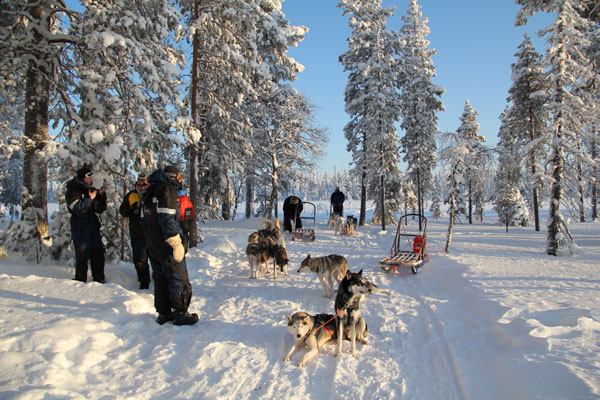 Lapland 2012