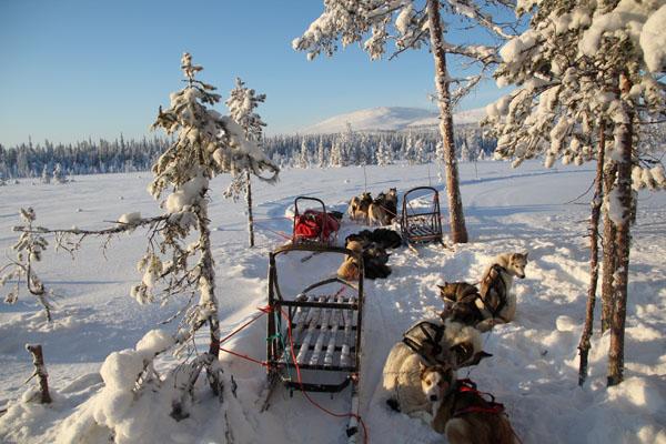 Lapland 2012