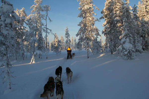 Lapland 2012