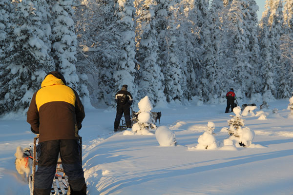 Lapland 2012