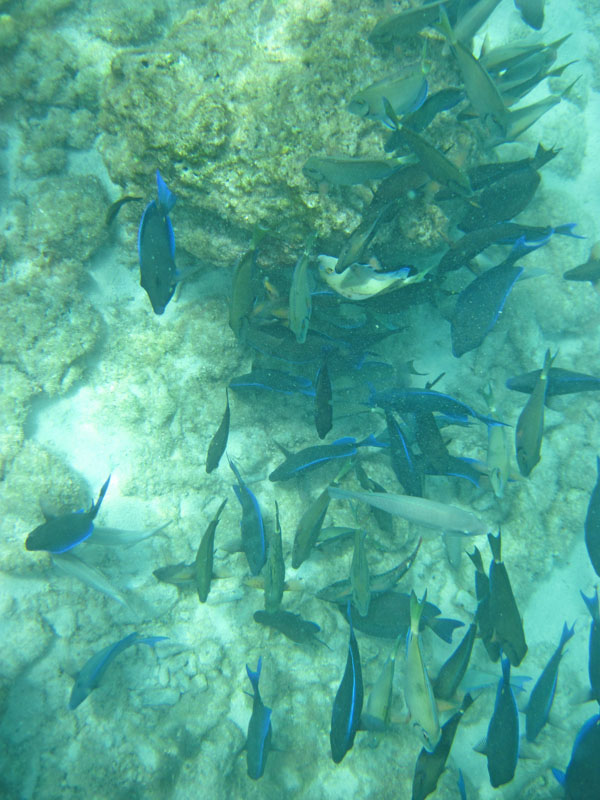 Curacao 2013 03 014